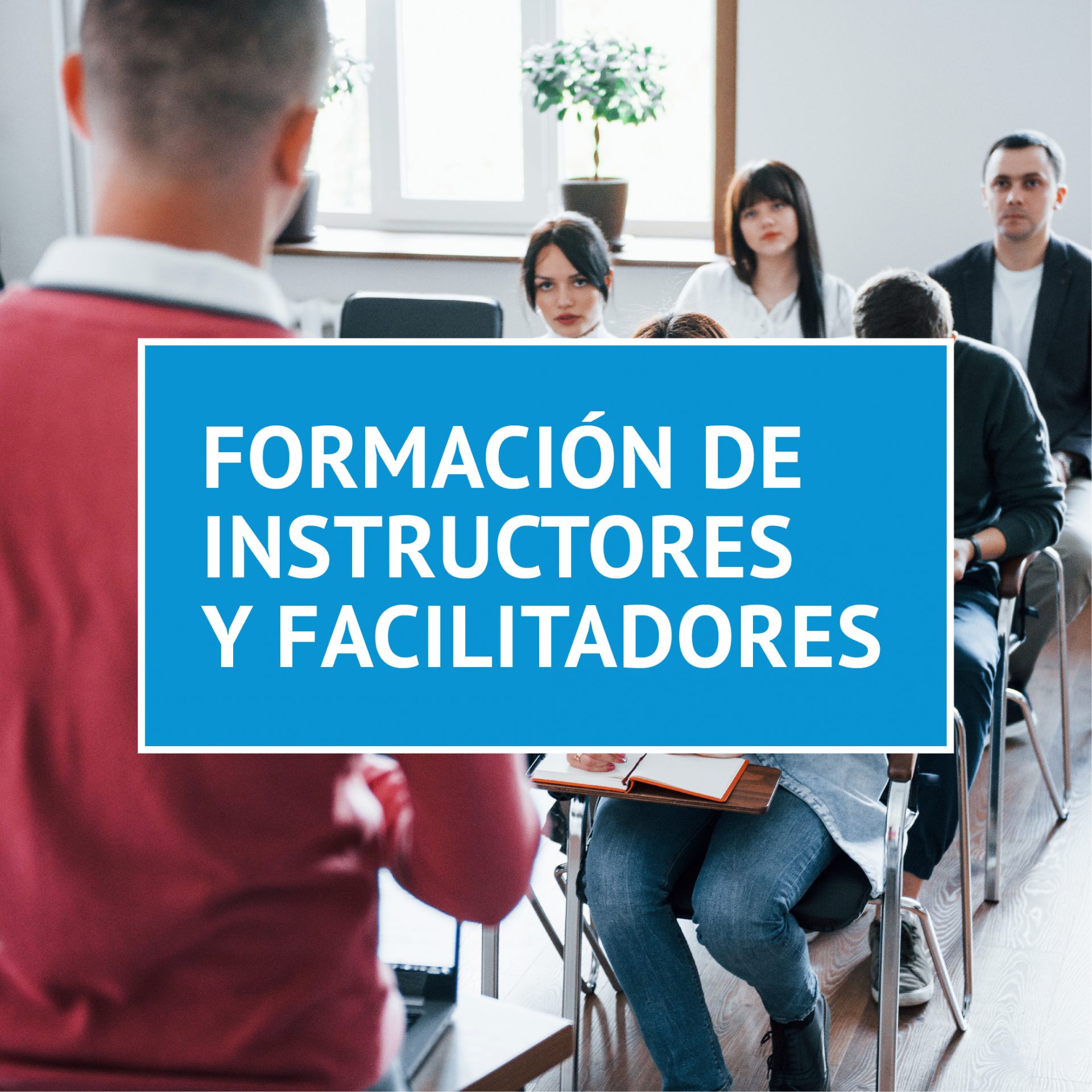 FORMACI N DE INSTRUCTORES Y FACILITADORES IDE